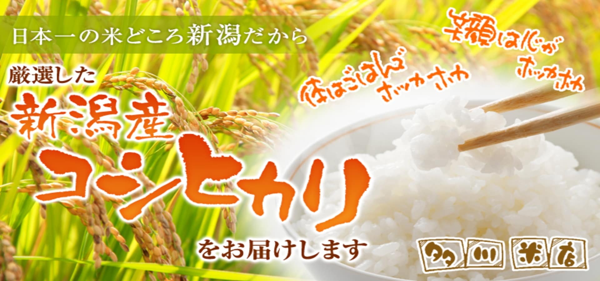 新潟県産コシヒカリ白米