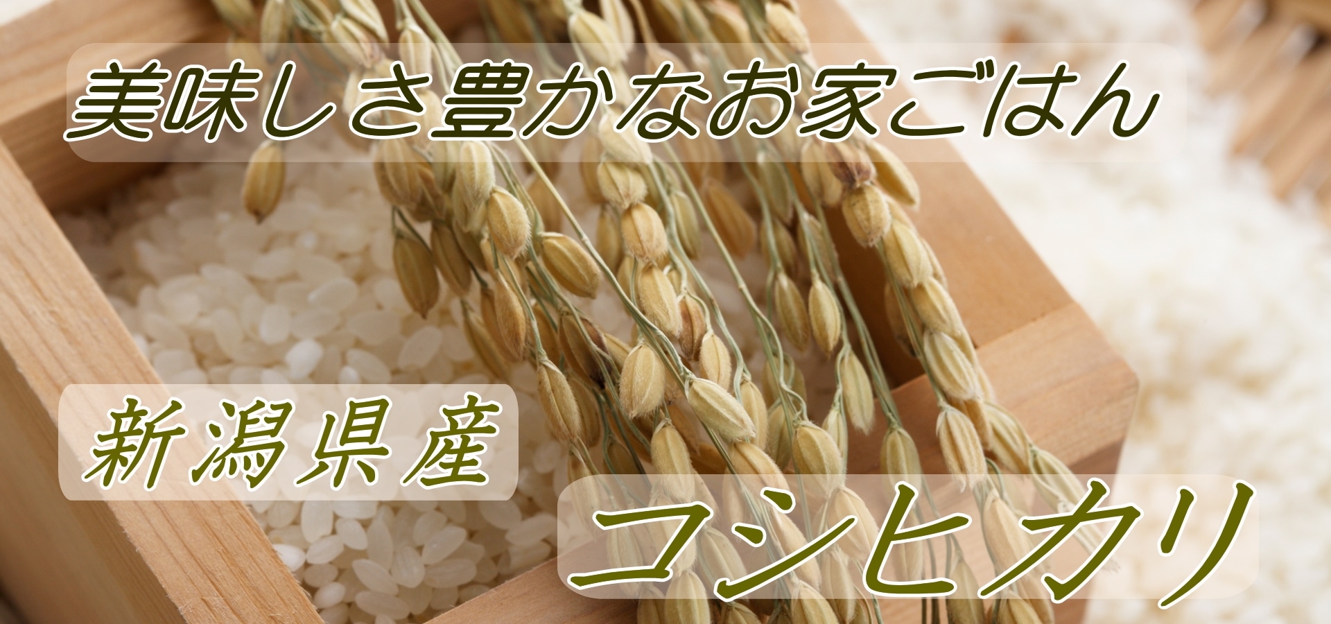 新潟県産コシヒカリ白米