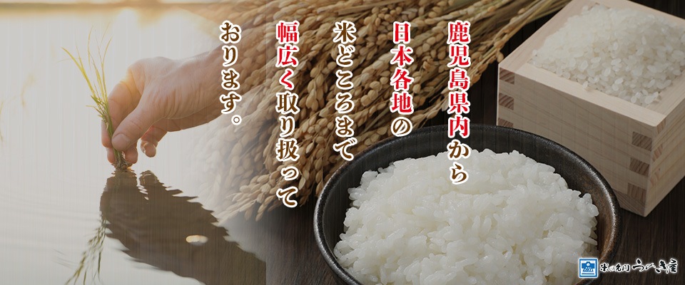鹿児島県内から 日本各地の 米どころまで 幅広く取り扱って おります。