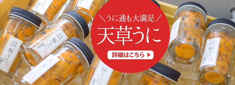 熊本県天草特産旬の生牡蠣